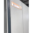 PRESSA AD INIEIZIONE SANDRETTO MOD. TESD1000